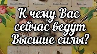 ️К чему Вас сейчас ведут Высшие силы?