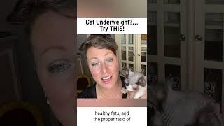 If your Cat is Under-Weight Try THIS