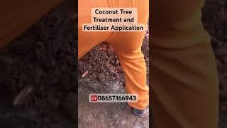 Get your Coconut Tree Treatment in Pune  #naralmitra #coconut #coconuttreesafetynetindia