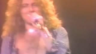 LED ZEPPELIN BADGEHOLDER BLUES Clip