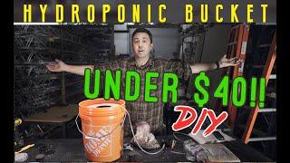 Hydroponics Bucket Grower for UNDER $40 DIY Build. DWC Deep Water Culture hydro grow station.