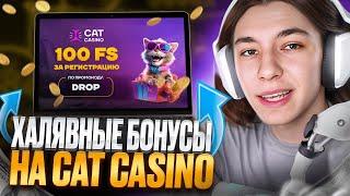 КАК ПОЛУЧИТЬ БОНУСЫ НА CAT CASINO ОБЗОР КАЗИНО  скачать pin up casino