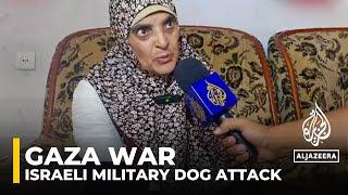 Video shows Israeli military dog mauling elderly Palestinian woman amid army operation in Jabalia