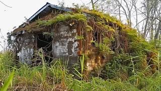 Three Men Clean 70-Year-Old Buried House and Give It a Second Life for Free  by @Cleantheoldhouse