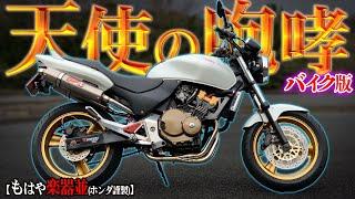 【伝説の250cc】未だプレミア価格！今ホーネット250は買いなのか！？