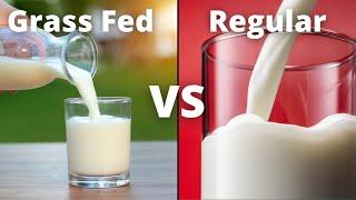 Organic vs Regular Milk vs Grass Fed Milk  What is The Best Milk?