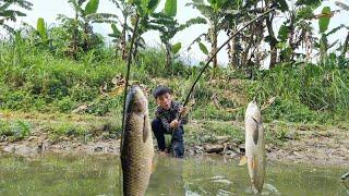 Nam - poor boy Fishing - Nam boy went fishing and caught two fish weighing 2.5 kg each to sell