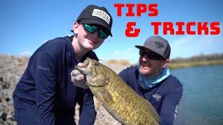 Bed Fishing For Beginners Breakdown On How To Get People Into Bass Fishing