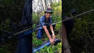 sniper cingok beraksi #shoorts #ikan #viral