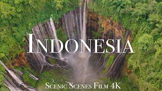 Indonesia In 4K - Tropical Paradise Of Asia  Scenic Relaxation Film