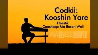 Kooshin Yare - Caashaqa Ma Baran Weli Lyrics