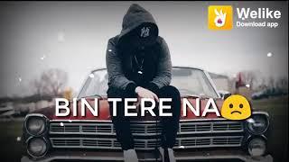 Hare Hare Hare Ham To Dil Se Hare  WhatsApp status     #BREAKUPLOVE  #LOVE_PS_1                    .