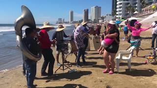 Banda en las playas de Mazatlan tocando el Pavido Navido