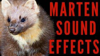 WHAT IS SOUND OF MARTEN - Marten Sound Effects  maktub_ytv