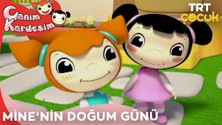 Canım Kardeşim - Minenin Doğum Günü