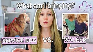 Walker vs Service Dog for POTS – What Really Works?  Which Mobility Aid is Right for You?