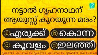 ഈ മരം വളർന്നാൽ ഗൃഹനാഥന് ആപത്ത് .............. l Malayalam Quiz l MCQ l GK l Qmaster Malayalam