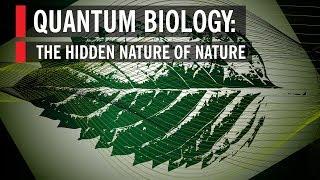 Quantum Biology The Hidden Nature of Nature