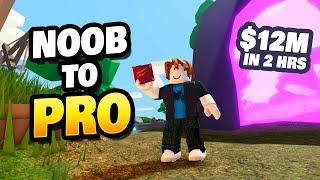 Noob to PRO - $12M in 2 Hours Roblox Islands