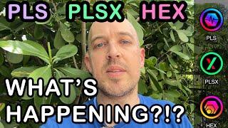  PLS PLSX and HEX - Whats happening with PulseChain ??