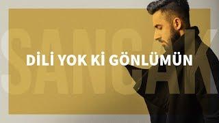 Sancak - Dili Yok ki Gönlümün Feat. Gitar Barış