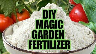 Magic Fertilizer For All Vegetables  100% Success Results