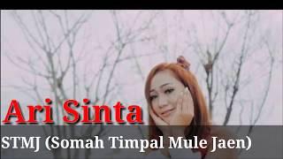 ARY SHINTA - STMJ SOMAH TIMPAL MULA JAON