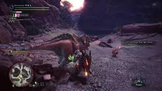 Cant wait to ride the palamute in Monster Hunter rise.