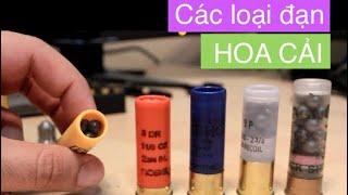 Súng bắn đạn hoa cải shotgun các loại đạn chọn loại đạn nào cho mục đích nào