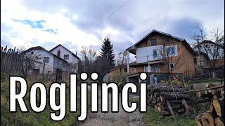 Rogljinci - Rajcilovci Bosilegrad - Srbija