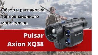 Pulsar Axion XQ38