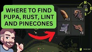 Where to Find Upper Yard Resources in Grounded Pupa Rust Lint Pinecone
