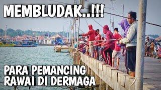 Membludak.. ‼️ Para Pemancing Rawai Di Dermaga Branta Pamekasan ‼️ Mancing Mania Madura ‼️