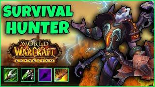 Survival Hunter CATACLYSM PVP Guide  Stats Gear Talents Macros Pets Gamplay  CATA CLASSIC