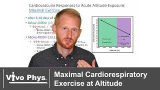 Maximal Cardiorespiratory Exercise at Altitude
