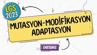 Mutasyon Modifikasyon Adaptasyon  LGS 2023