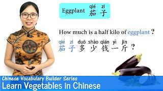 Learn Vegetables in Mandarin  Vocab Lesson 14  Chinese Vocabulary Builder Series