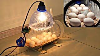 How To Make a Home Incubator Simple And Easy  Egg Incubator