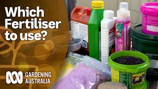 Which fertiliser to use  Gardening 101  Gardening Australia