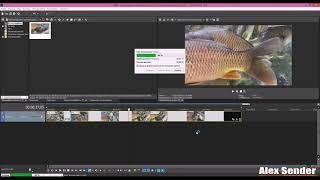 Не сохраняются все видео в Vegas Pro. Решение