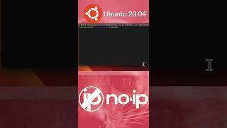 How to config no-ip on Ubuntu Server 20.04 #shorts