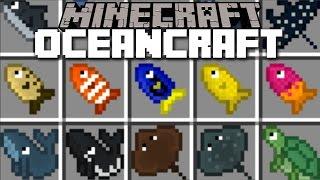 Minecraft OCEANCRAFT MOD  PLENTY OF SHARKS WHALES AND STINGRAYS Minecraft