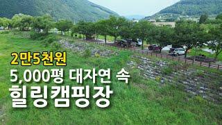 5천평 대자연속 캠핑장전기되는 2만5천원캠핑장파쇄석 자연 속 캠핑카라반 캠핑카 차박 텐트 가능애견동반캠핑강아지Camping