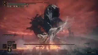 Elden Ring My friend was on this Boss for 2 hours