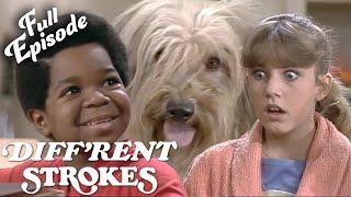 Diffrent Strokes  The Dog Story  S2EP13  FULL EPISODE  Classic TV Rewind