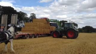 Retraining a runaway horse - fear of tractors