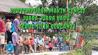 lomba jagungan hari saptu lapak muara