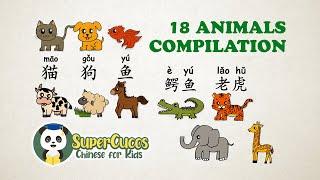 学中文-动物合辑  Learn Chinese for kids - Animals Compilation  Aprender Chino - Recopilación de animales