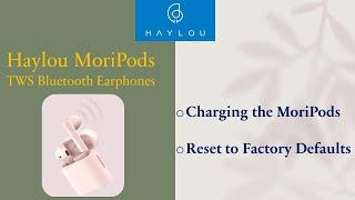 Haylou MoriPods TWS Bluetooth earphones  Charge and Reset or restore to factory defaults