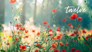 12 Hours of Relaxing Music - Piano Music for Stress Relief Sleep Music Meditation Music Riley